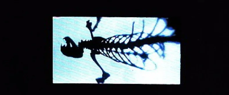 Temptation of Sainthood